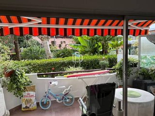 Estudio en alquiler en Zona Botánico en Puerto de la Cruz