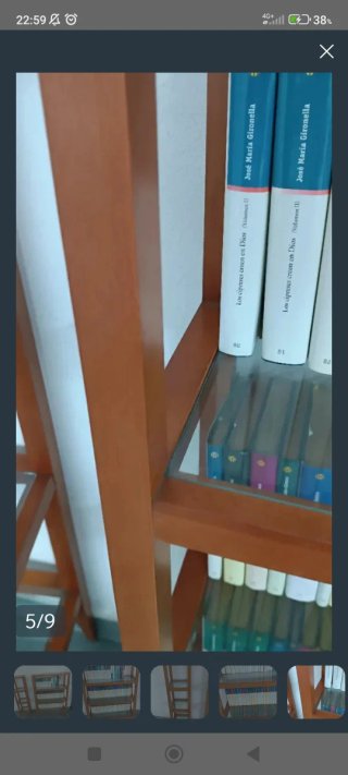 Dos estanterías de madera y cristal