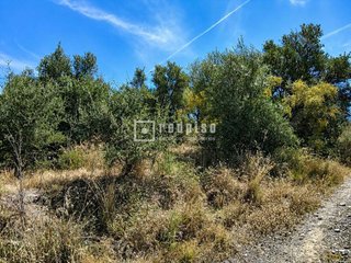 Solar en venta en Campo de Mijas en Mijas