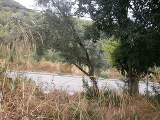 Solar en venta en Cervelló