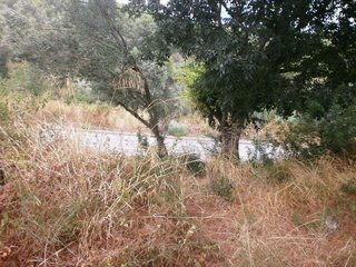 Solar en venta en Cervelló