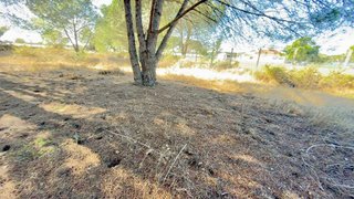 Terreno en venta en Almonte en Almonte