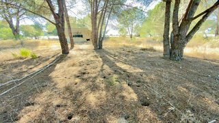 Terreno en venta en Almonte en Almonte