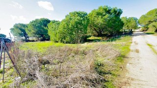 Terreno en venta en Almonte en Almonte