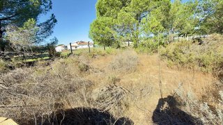 Terreno en venta en Almonte en Almonte