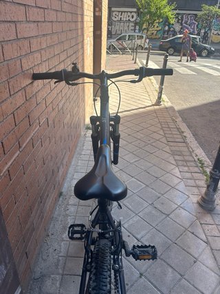 Bici da Montagna Rockrider 100