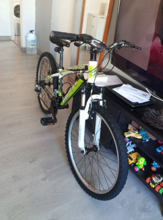 Bicicleta de montaña