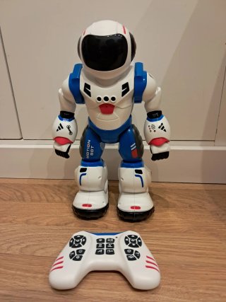 Robot Bruce