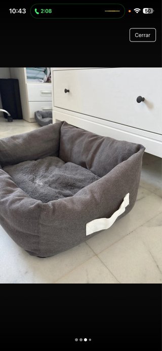 cama de perro