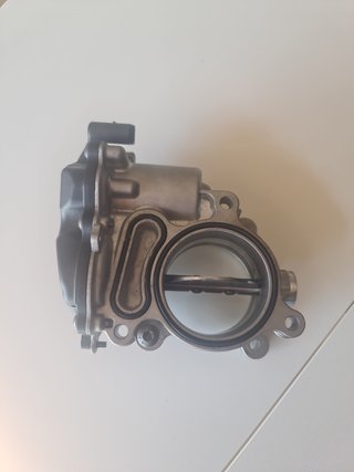 Cuerpo Mariposa VW AG Valeo