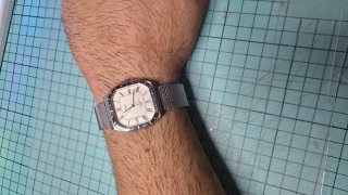 Reloj Citizen Vintage Estilo Santos