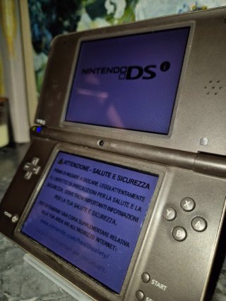 Nintendo DSi XL Marrone