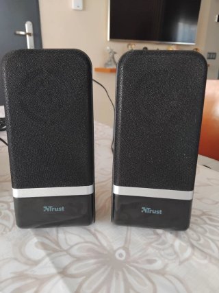 Altavoces Trust Raina 2.1 PC Subwoofer