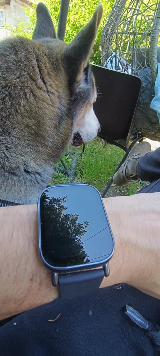 Xiaomi smartwatch 5 lite