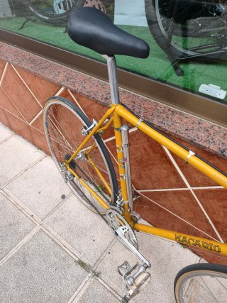Bicicleta Macario Profesional T-M/L