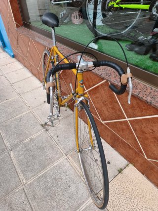 Bicicleta Macario Profesional T-M/L