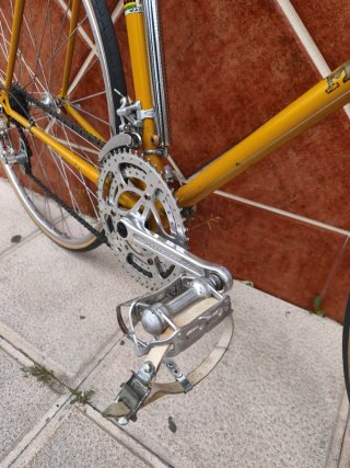 Bicicleta Macario Profesional T-M/L