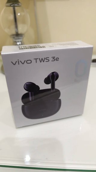 Vivo X300