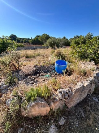 Parcela rustica en Betera