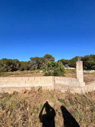 Parcela rustica en Betera