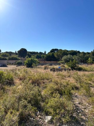 Parcela rustica en Betera