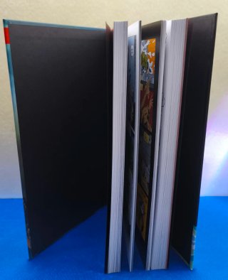 COMIC MARVEL EL CASTIGADOR DIARIO DE GUERRA PANINI