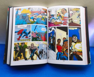 COMIC MARVEL EL CASTIGADOR DIARIO DE GUERRA PANINI