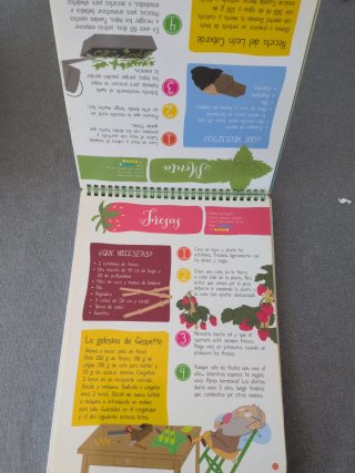 Mi primer huerto en casa. Huerto para niños.