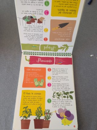 Mi primer huerto en casa. Huerto para niños.