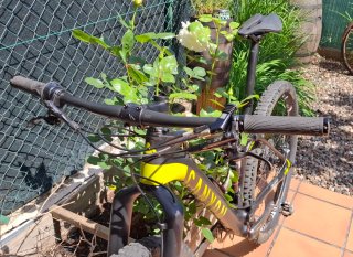 Bicicleta Canyon Lux Carbono