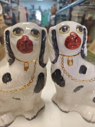 Pareja Perros Staffordshire Antigua
