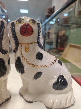 Pareja Perros Staffordshire Antigua