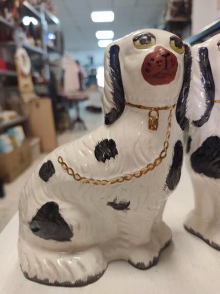 Pareja Perros Staffordshire Antigua