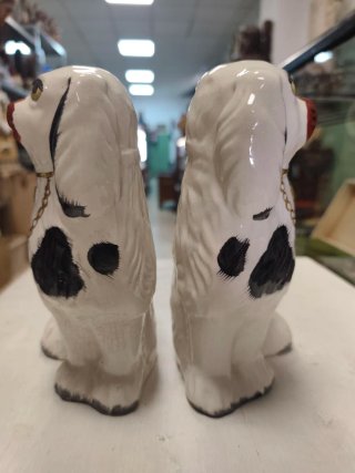 Pareja Perros Staffordshire Antigua