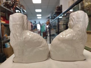 Pareja Perros Staffordshire Antigua