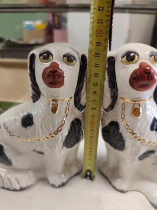 Pareja Perros Staffordshire Antigua