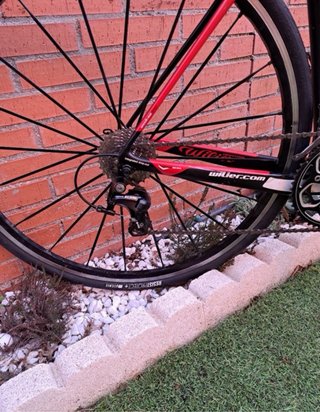 Bicicleta de carretera Wilier carbono