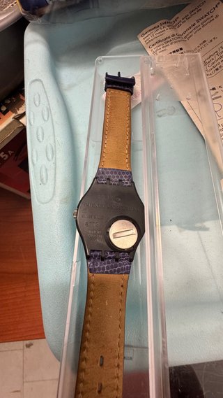 Swatch Alexander GX123 Standard Collection
