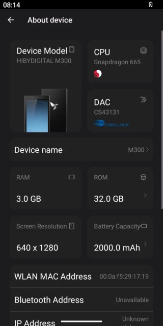 HiBy M300 + 64GB Micro SD