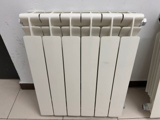 Radiadores Ferroli Xian 600