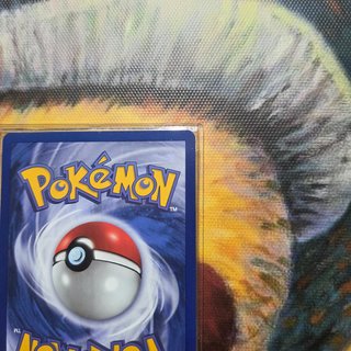 Pikachu 1st Edition -Mint