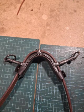 1 Protectore de serreta de cuero desmontable