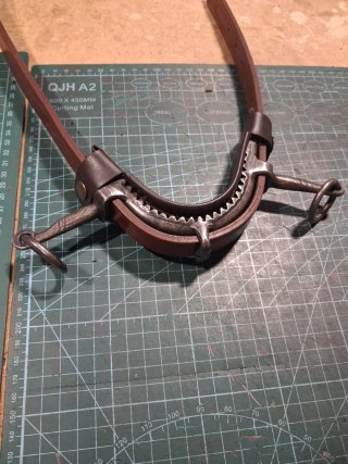1 Protectore de serreta de cuero desmontable
