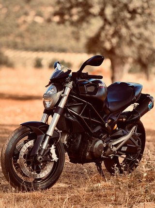 Ducati Monster 696 A2 Negra