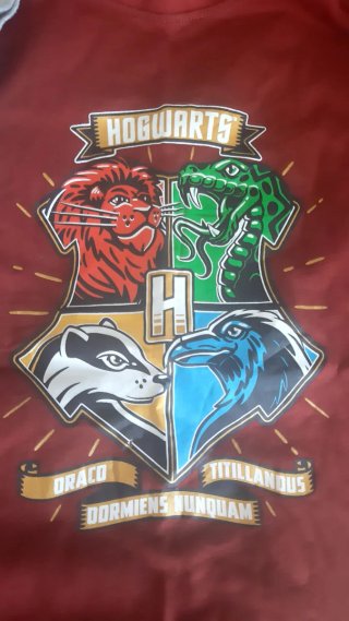Camisetas Harry Potter Hogwarts y Quidditch