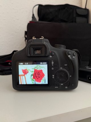 Canon EOS 4000D + Objetivo 18-55mm + Estuche
