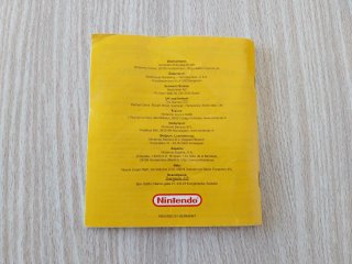 MANUAL POKEMON PINBALL ESPAÑOL GAME BOY COLOR