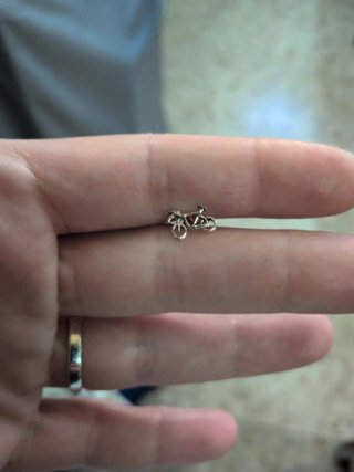 Pendientes Plata Bicicleta