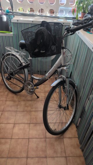 Bicicleta Paseo Monty Plata