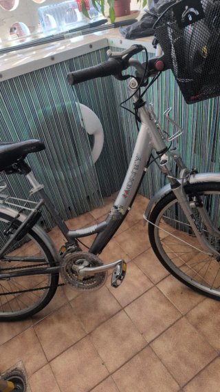 Bicicleta Paseo Monty Plata